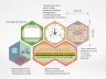 «Стендум - Химия» - набор информационно-методических панелей (10 шт.)